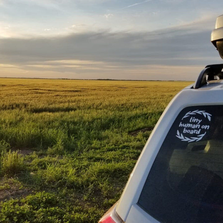 Tiny Human On Board Vinyl DECAL for Car, Baby On Board Sign for Car, Baby Shower Gift