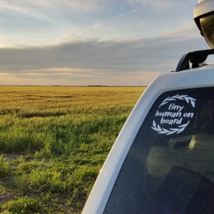 Tiny Human On Board Vinyl DECAL for Car, Baby On Board Sign for Car, Baby Shower Gift