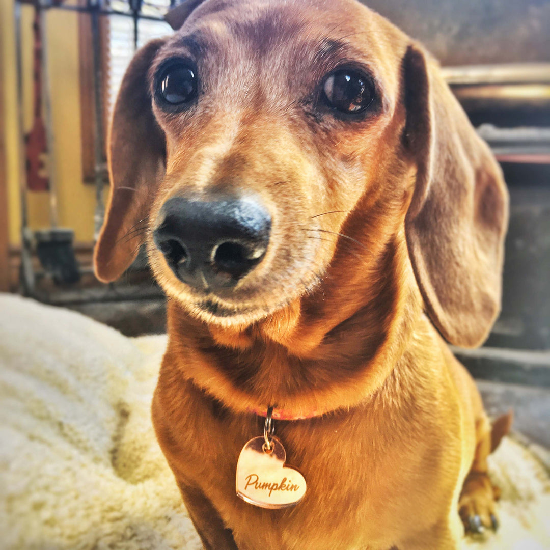Custom Mirror or Wood Pet Tag, Personalized Cat and Dog Pet ID Tags, Pet Gift, Customized Lost Pet Tag, Rose gold, Gold, Silver Mirror