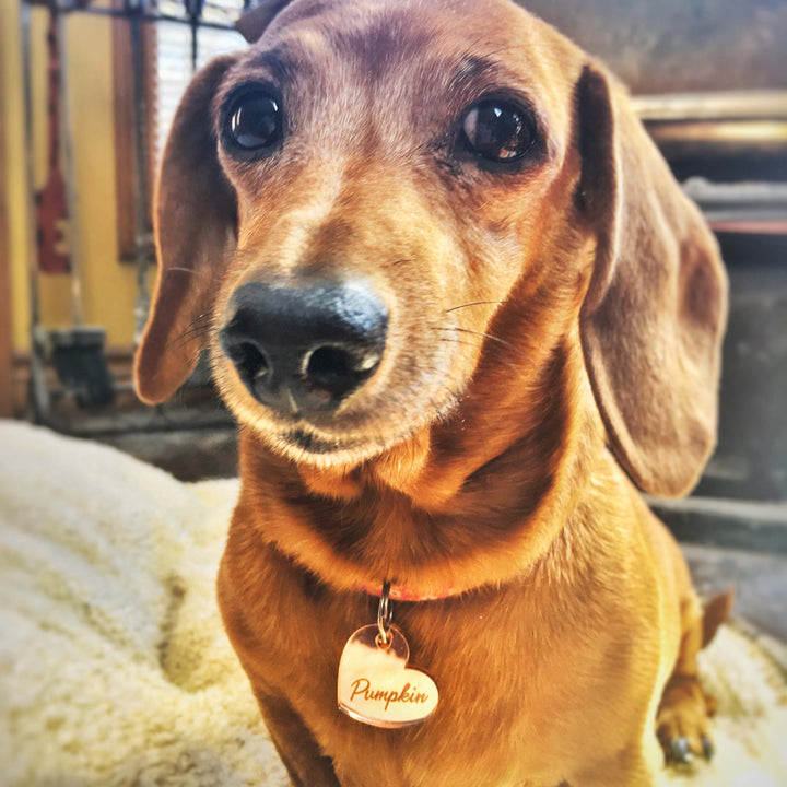 Custom Mirror or Wood Pet Tag, Personalized Cat and Dog Pet ID Tags, Pet Gift, Customized Lost Pet Tag, Rose gold, Gold, Silver Mirror